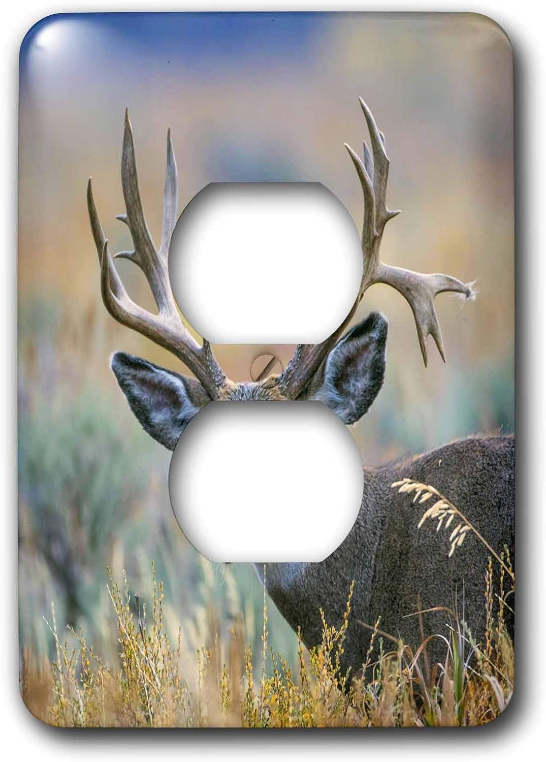 3dRose WY, Grand Teton NP. Mule Deer buck portrait of its large antlers. double toggle switch