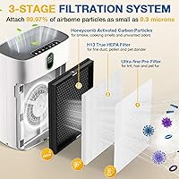 Vista 3 de Paquete de 2 filtros de repuesto HY4866 para purificador de aire MORENTO/WESTHEY HY4866 y purificador de aire YIOU M1, filtro H13 True HEPA 3 en 1