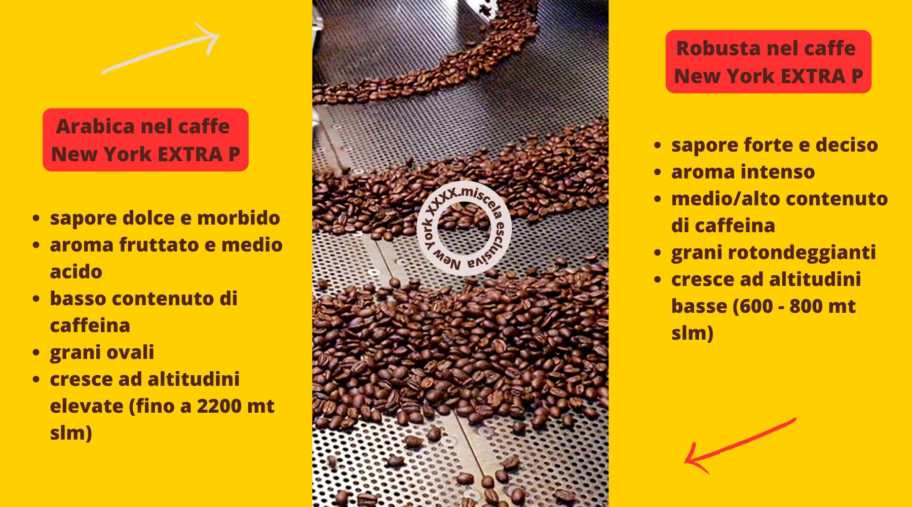 Café New York - EXTRA P - Café en grano, sabor fuerte e intenso, Arábica y Robusta en grano, para moler, café espresso italiano, mezcla para bares - desde 1930-1 kg, en grano