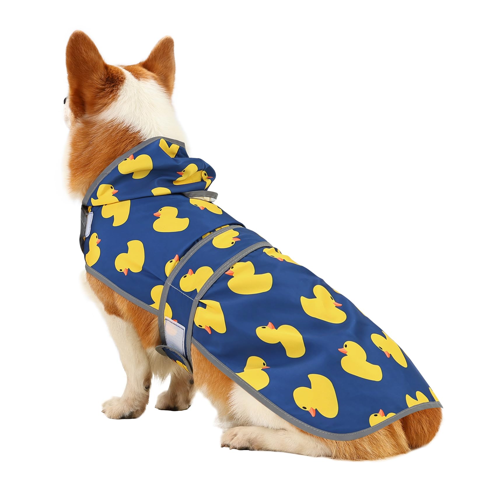 Impermeable Impermeable para Perro con Capucha y Agujero para Correa, para Perros y Cachorros pequeños, medianos y Grandes