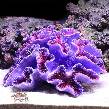 Amazon 人工 珊瑚 水槽 サンゴ 植物 オブジェ レプリカ アクアリウム 水族館 水中 魚タンク 飾り オーナメント 水槽用 サンゴ礁 人工 サンゴ 熱帯魚 安全 無毒 鮮やか 耐久性観賞魚 海洋魚飼育用 水族館の装飾 水景 造景置物 オーナメント レイアウト 6 16 5x14x7cm