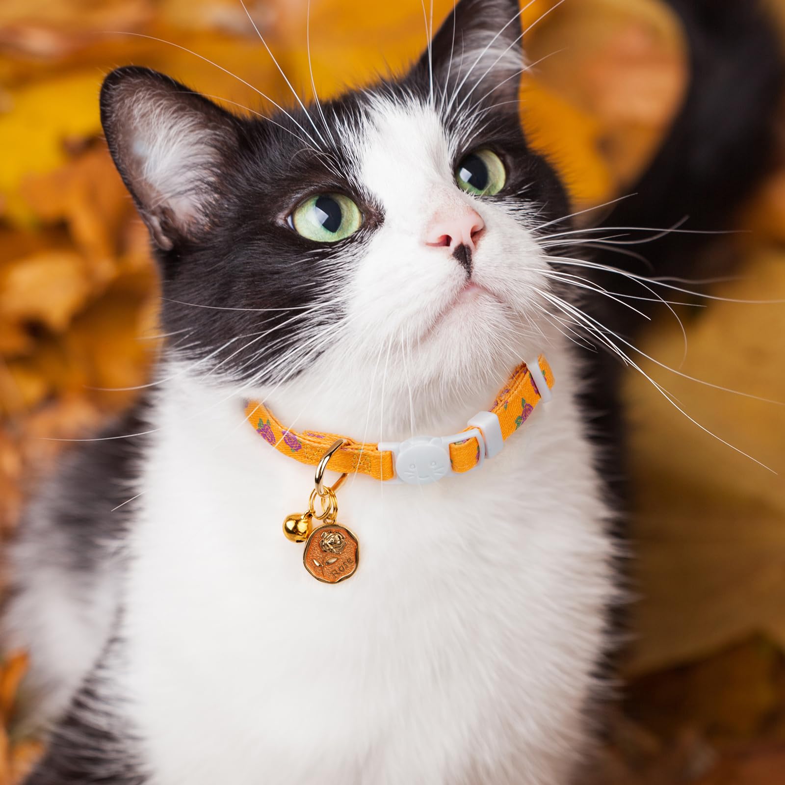 Lot de 2 colliers en coton pour chat avec pendentif rose jaune et rose avec clochette, idéal pour les chats, les garçons, les chats