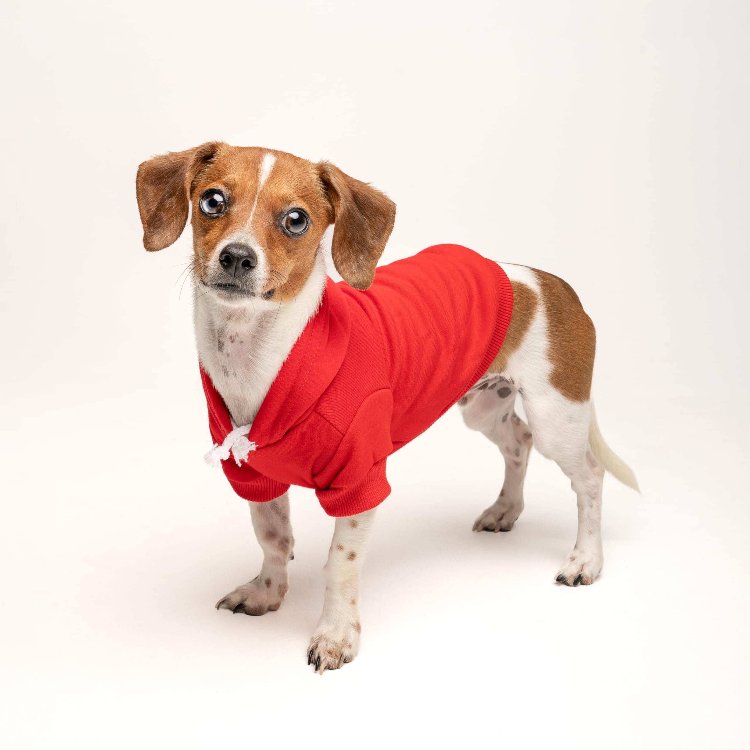 I Love My Moms (Two) Mother's Day Dog Hoodie | Fleece Lined |Leash Hole| Pride Day | LGBTQ+ | Rainbow | Parade|Red, 4X-Large 175