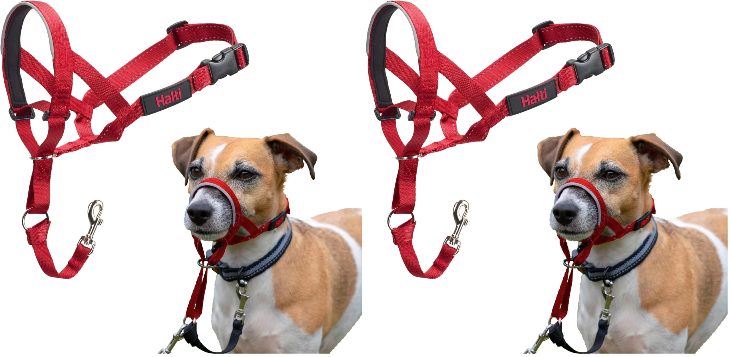 Company of Animals Halti Baş Tasması - Dolgulu Burun Bandı, Ayarlanabilir ve Yansıtıcı, Küçük Köpekler İçin Profesyonel Çekme Önleyici Eğitim Yardımcısı (Boyut 1, Kırmızı) (2 paketi)