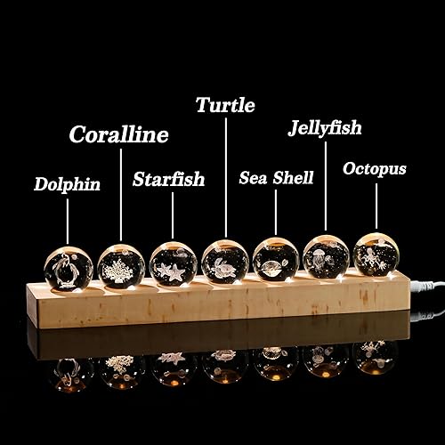Miniatura 3 de Qianwei Bola de cristal 3D de cristal de mar con base de lámpara LED, el mejor regalo de cumpleaños para hombres, profesores, niños, conchas de