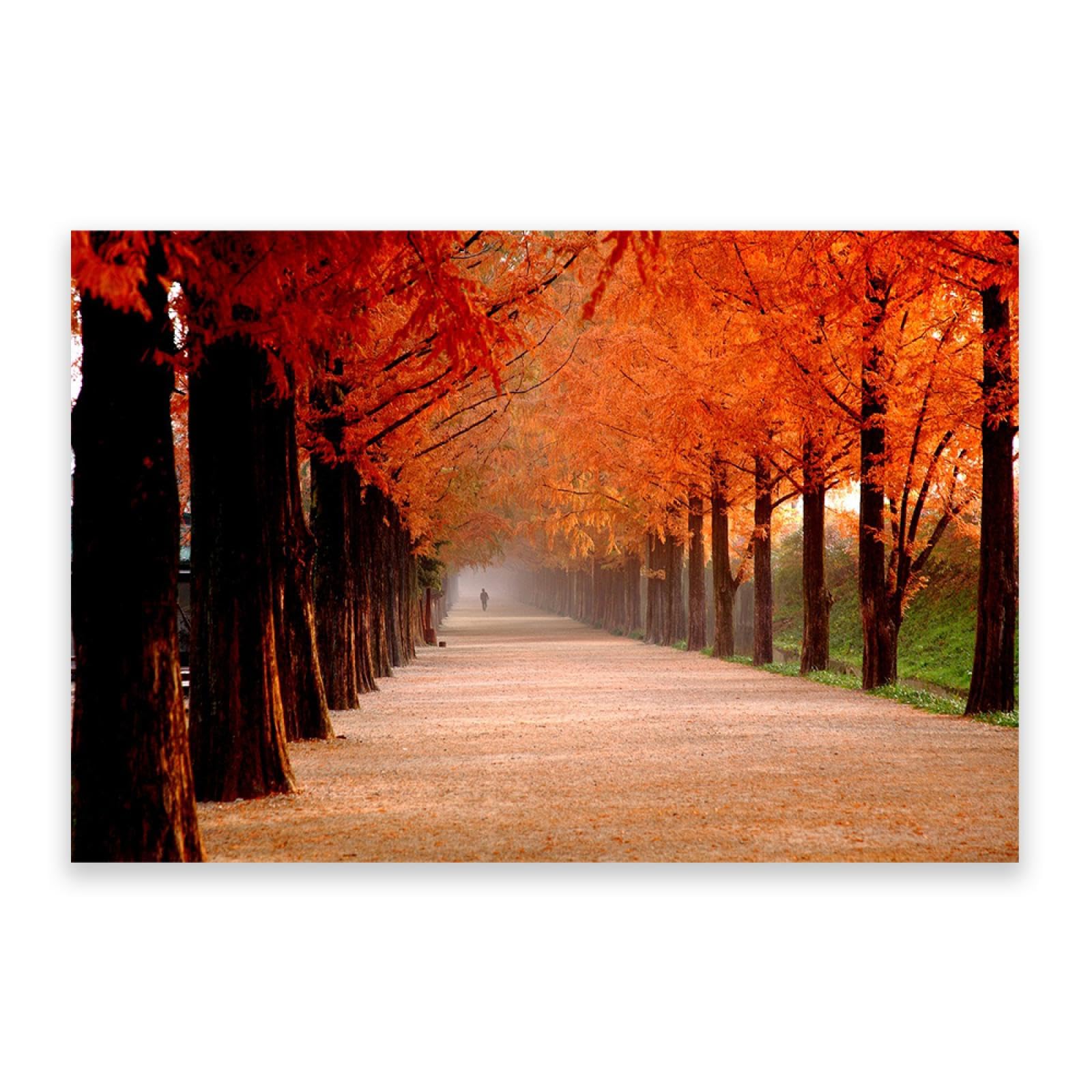 Quadri di decorazione da parete della foresta, stampe su tela di paesaggi autunnali, albero d'acero autunnale, immagini decorative per soggiorno, 60 x 90 cm (23,7 x 35,5), solo tela