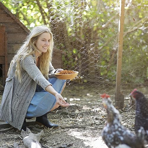 Miniatura 7 de Gusanos de harina secos sin OMG, larvas de alto contenido en proteínas, suplemento de muda para aves, gallinas, patos, etc., comida a granel grande