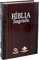 Bíblia Sagrada NAA Letra Maior | Letra Maior SBB: Nova Almeida Atualizada (NAA)