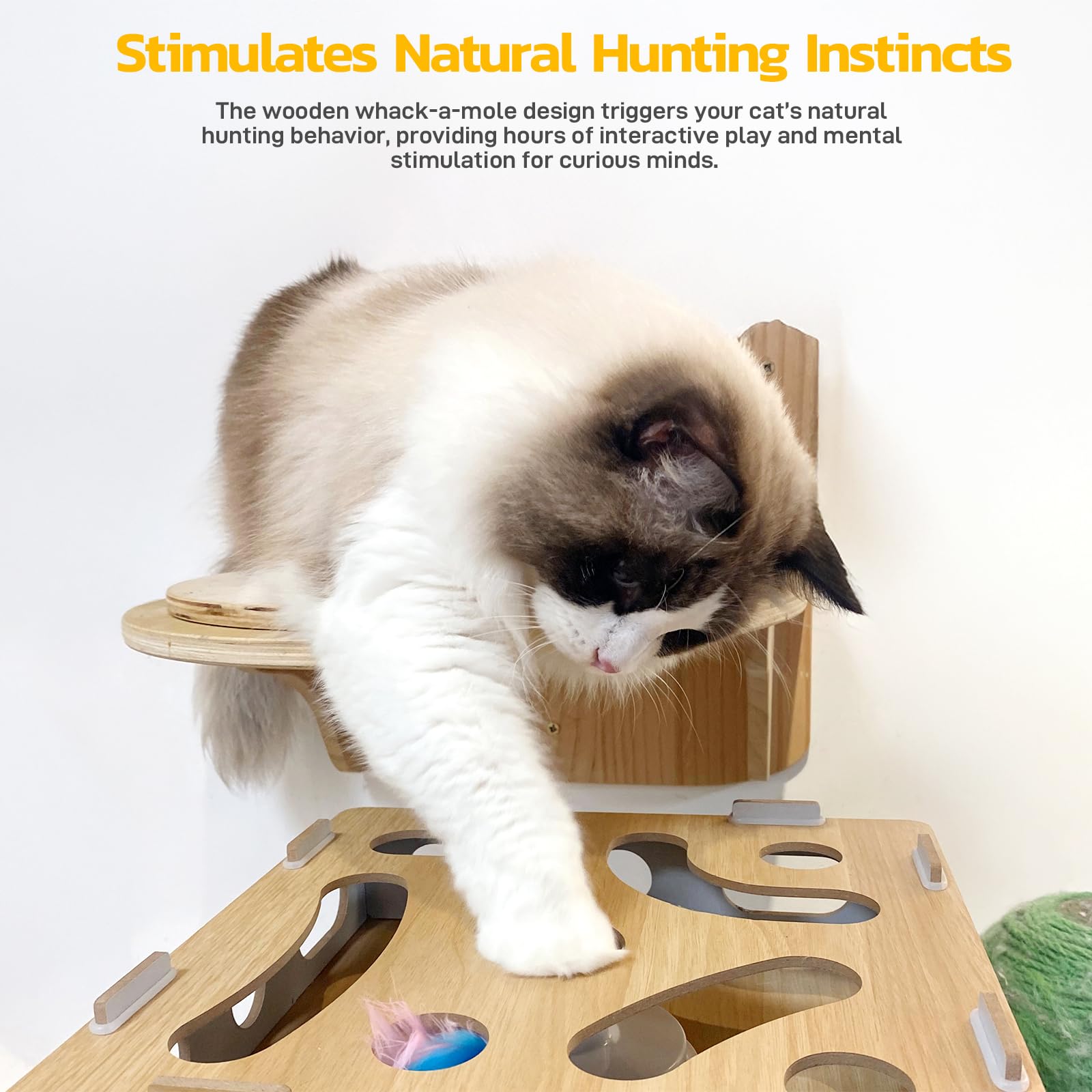 zQSFP Puzzle cat Toys:Moving Concealed Feathers?Touch Activated Cat Kitten Toy Cat Exercise Toys for Indoor Bored Adult Cats (Nature)