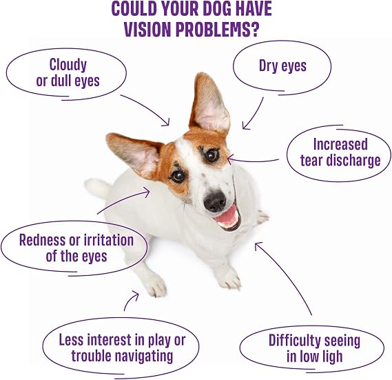 ivvi Vision – Eye Care Snacks for Dogs | With DHA, Astaxanthin, Blueberry & Eyebright | Supports Eye Comfort & Retina Function | 60 Soft Treats (270 g)