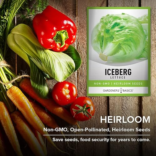 Miniatura 5 de Iceberg Semillas de lechuga para plantar variedad vegetal sin OMG 007oz de semillas ideales para primavera verano otoño jardín de invierno e