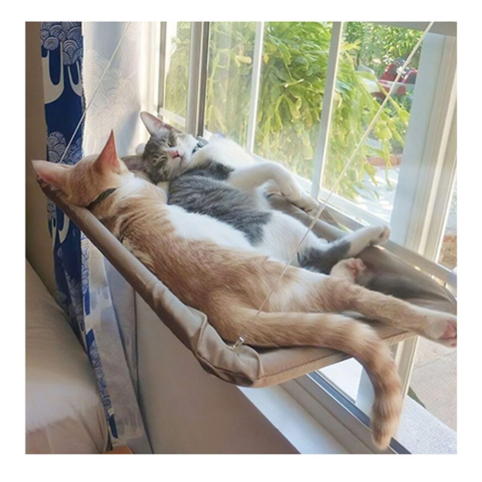 Haustier Katze Hängematte Hängen Bett Lager 20Kg Bequeme Sunny Fenster Sitz Halterung Kätzchen Klettergerüst Zubehör Stabil Komfortabel(Purple-55x35)