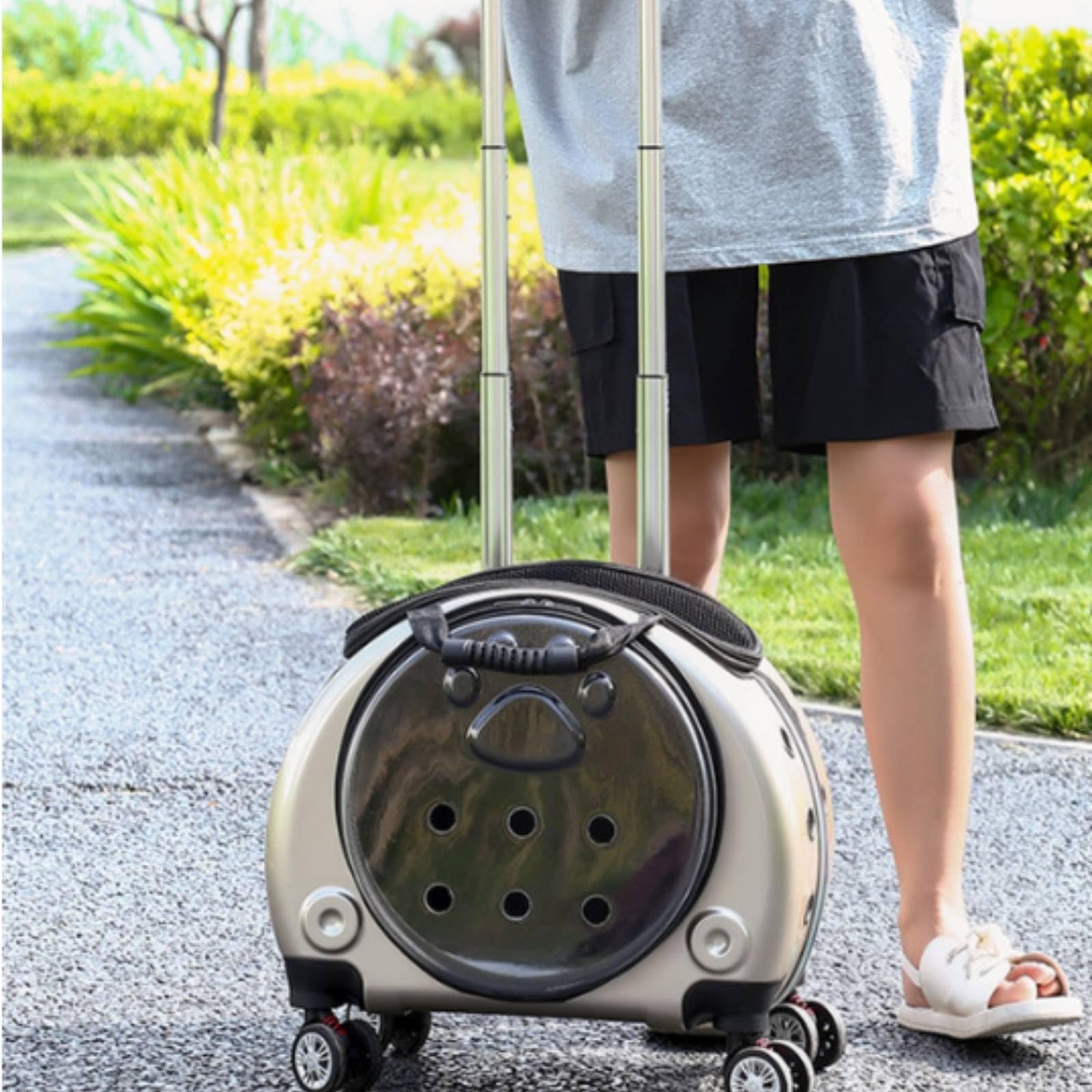 Transportín con Ruedas Transportín con Cápsula Ventilado Mochila Ruedas para Gatos, Viajes, Verinario, Paseos, Plateado