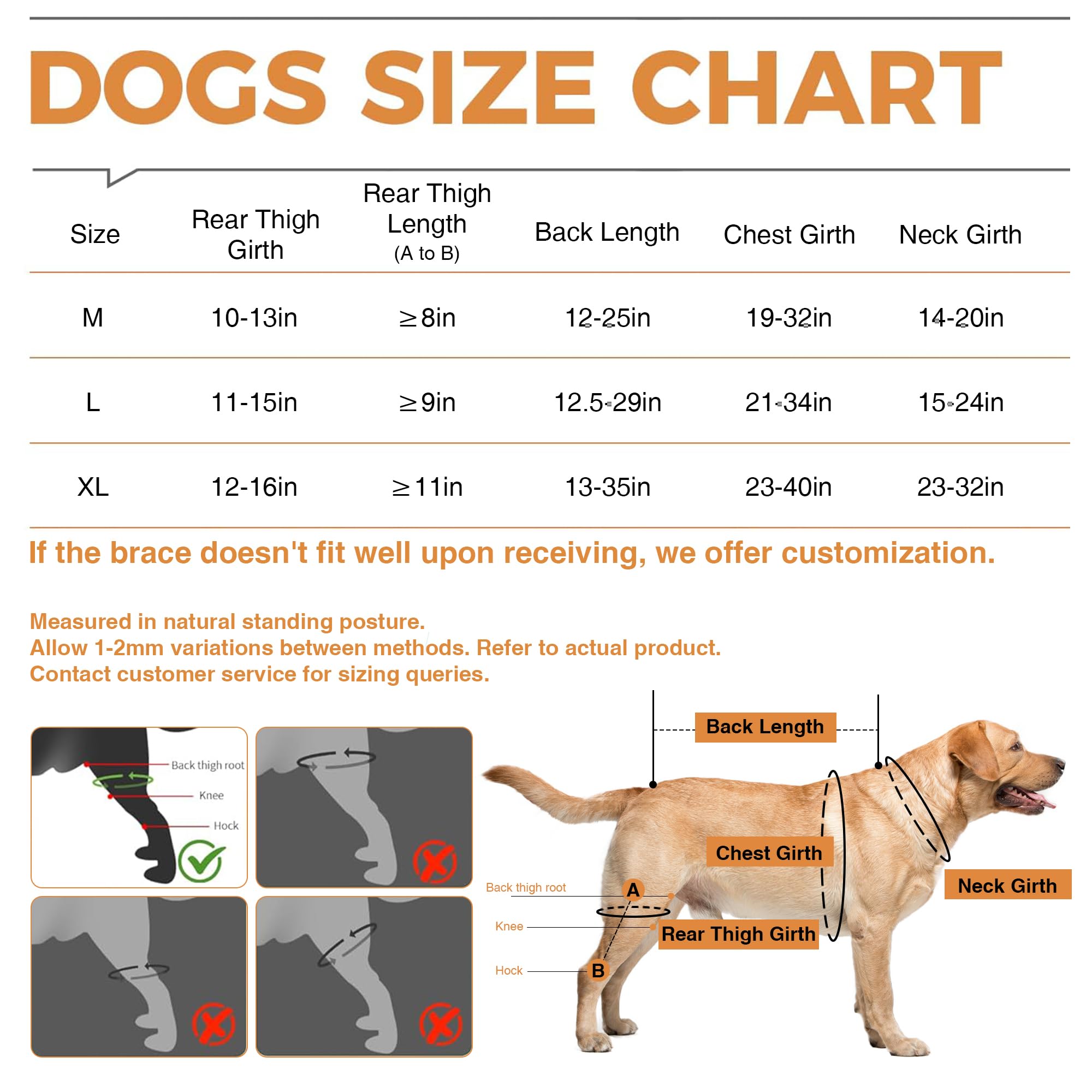 LISPOO Dog Knee Brace for Torn ACL/CCL Hind Leg,Adjustable Support With Sufficient Wrapping and Support & Luxating Patella,Non-Slip Joint Brace,Pain Relief&Better Recovery-Both Leg-Upgraded/M - Image 3