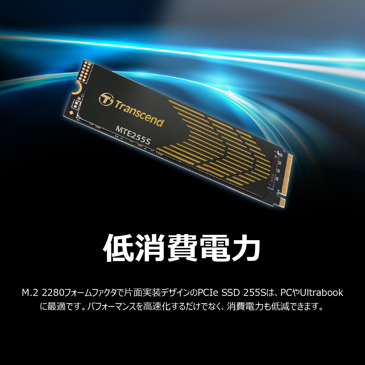 む*ん様 y*z様 トランセンド 2TB MTE255S 　内蔵 m.2SSD む*ん様 y*z様 トランセンド 2TB MTE255S 内蔵 m.2SSD む*