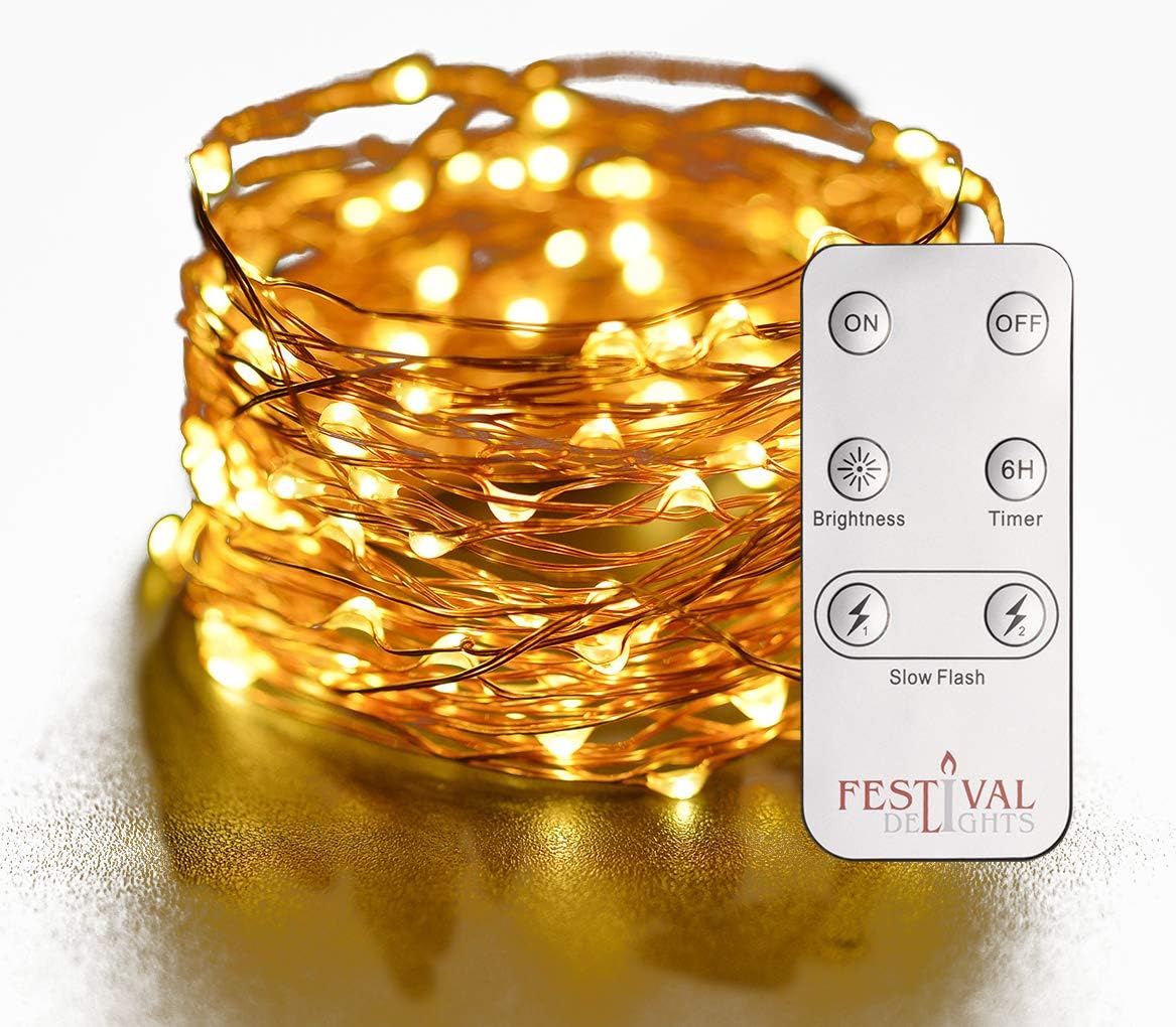 Festival Delights Fairy Lights- LED String Lights with Remote and Timer (60 LEDs)