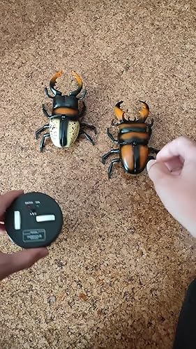 Amazon | 【まるで本物!リアルに動く!】 昆虫 ラジコン クワガタ