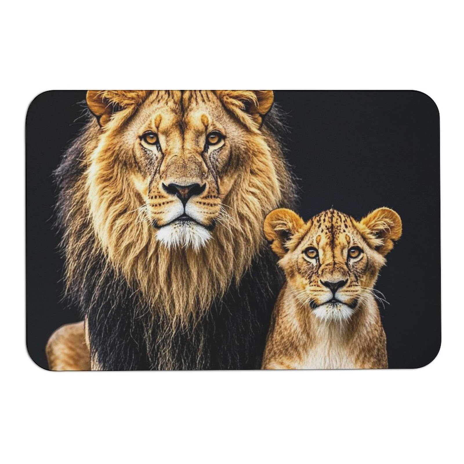 Tapis de bain diatomée absorbant antidérapant pour douche et paillasson sol