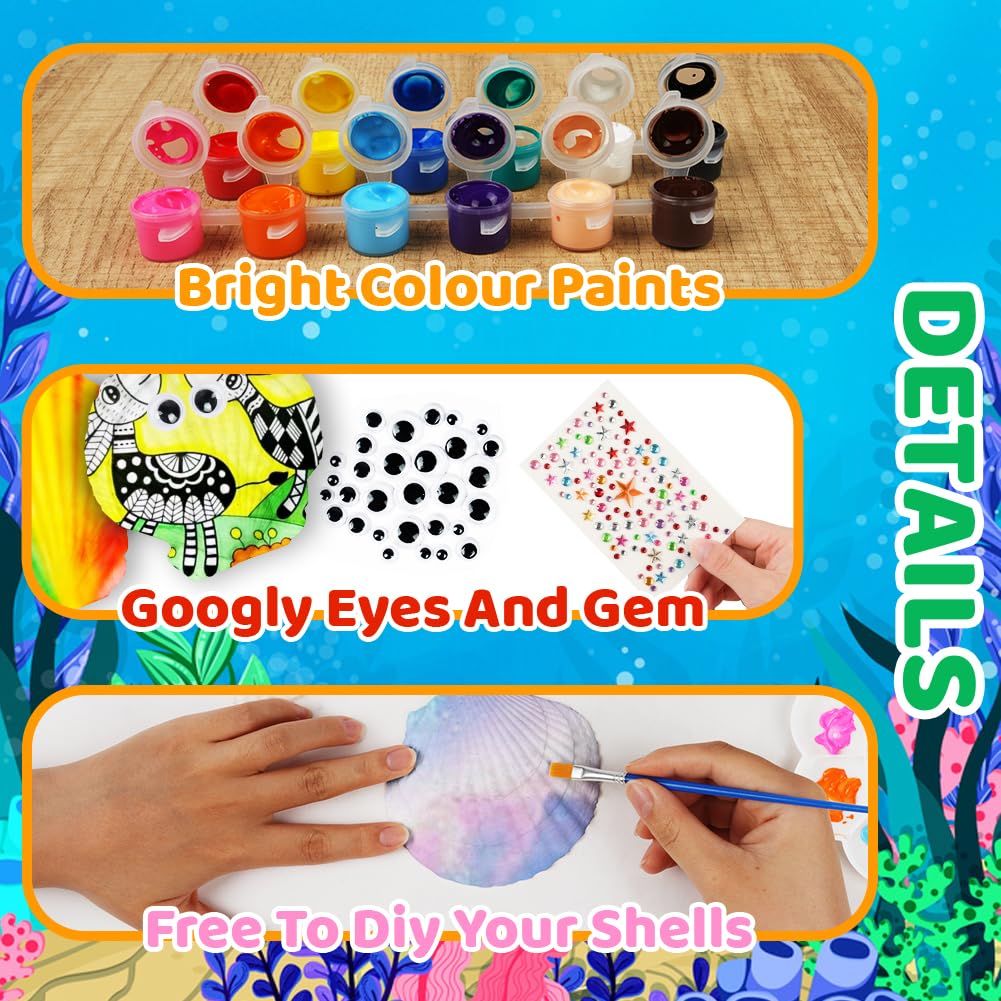 Kit De Peinture Sur Coquillages – 12 Coquilles + Peintures – Activité Créative Enfant – Cadeau Dessin