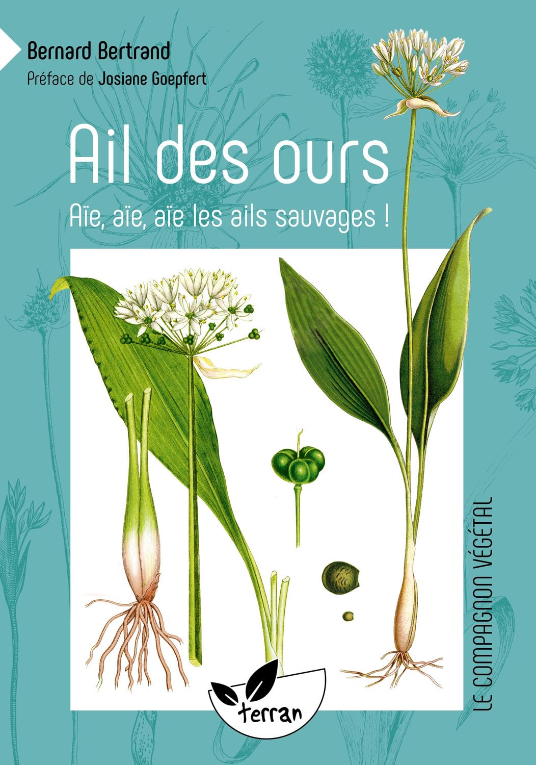 Ail des ours, ail rose, ail des cerfs, ail à tête ronde… aïe, aïe, aïe les ails sauvages !: Ail rose, ail moly, ail des vignes, ail à tête ronde, ail ... triquète, aïe, aïe, aïe les ails sauvages !