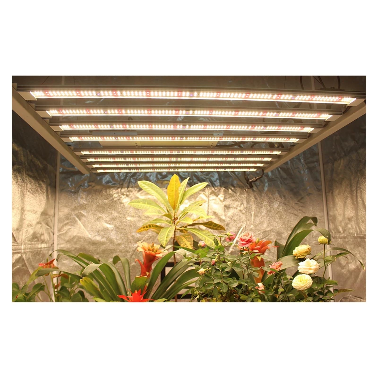 Luz de Cultivo LED 240W 320W 480W 600W LM301H EVO V5 LED Barra de luz de Cultivo Encendido/Apagado Kit Completo de Tienda de Cultivo para Plantas de Interior y Exterior.(480w)