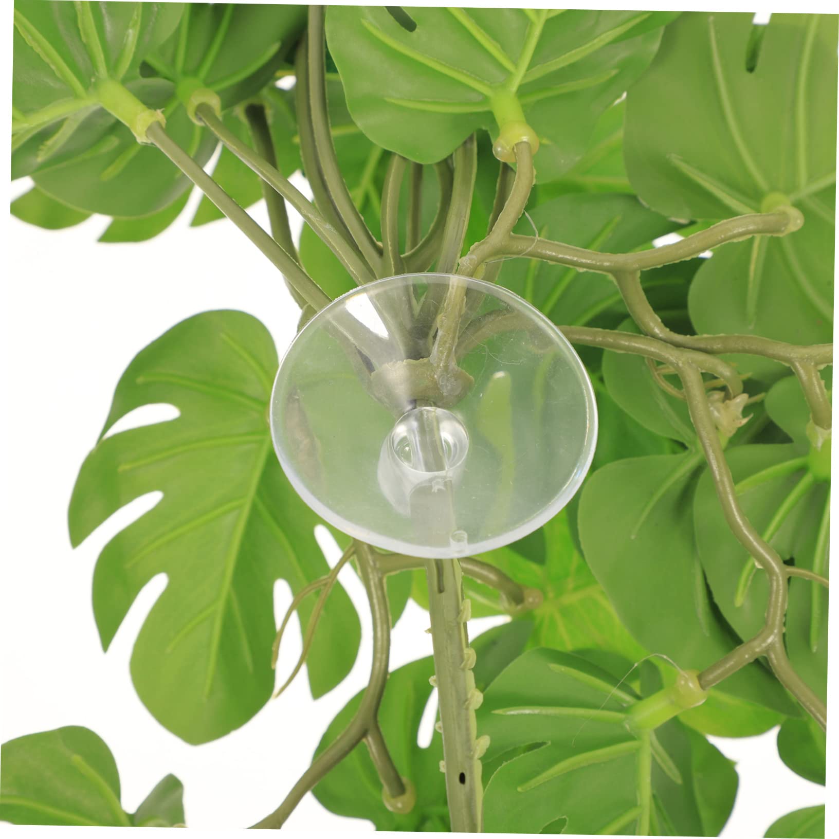 BESPORTBLE 5 Piezas De Decoración De Plantas De Reptiles Decoraciones De Terrarios Contenedores De Vidrio Enredaderas Terrarios De Reptiles Decoraciones Ligeras para El Hogar