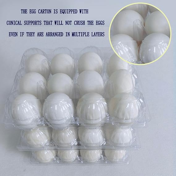 3 * 4 Large Egg Cartons Cheap Bulk,Can hold 2.5 oz of eggs(100pc)