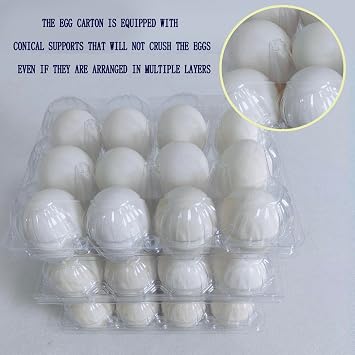 3 * 4 Large Egg Cartons Cheap Bulk,Can hold 2.5 oz of eggs(100pc)