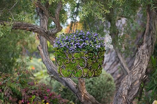 Miniatura 17 de Lámina de musgo preservado SuperMoss, fresco, verde y húmedo Secado natural