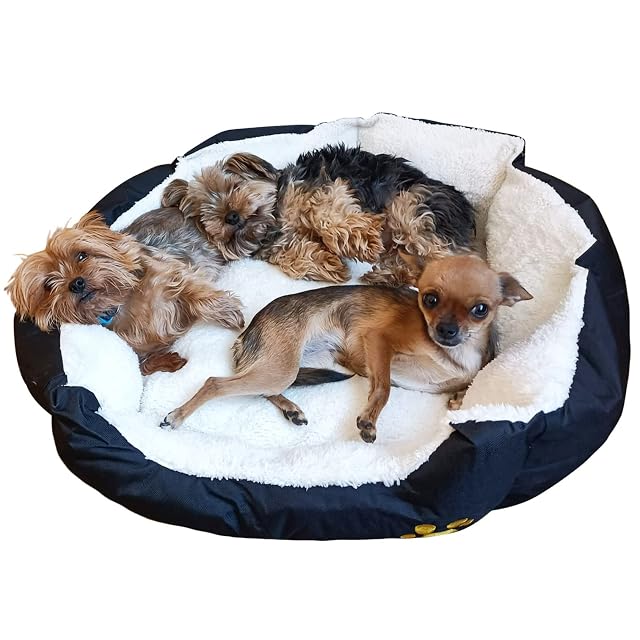 Foto 7 de 8 de Mobiclinic, Cama Perro, Pluto, Perros medianos, Marca española, Varios tamaños Disponibles, Suave, Gato