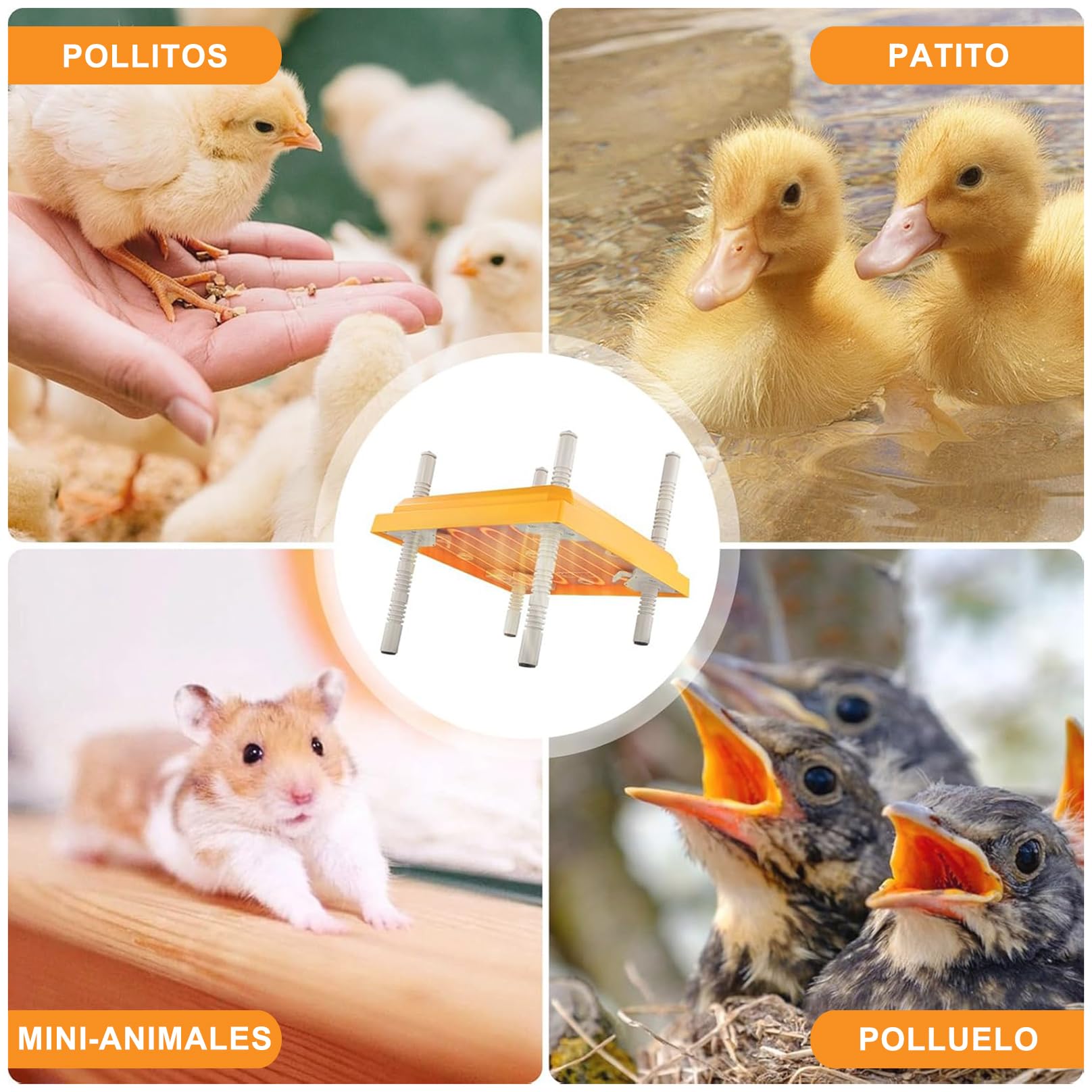 Lampara Calor para Gallineros, Placa Calefactora Incubadora de Pollitos, Placa Calefactora Pollos con Termostato de Bajo Consumo, Altura Ajustable, para Codorniz Pato y Más Negro FG-30