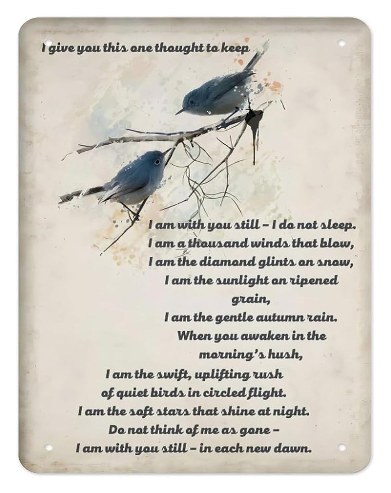 UYCUODLUY Metal Sign Watercolor Birds Prayer Inspirational Quote Wall-Art Motivational Home Office Decor 8 X 12 in