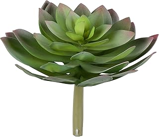 Vickerman Everyday 10