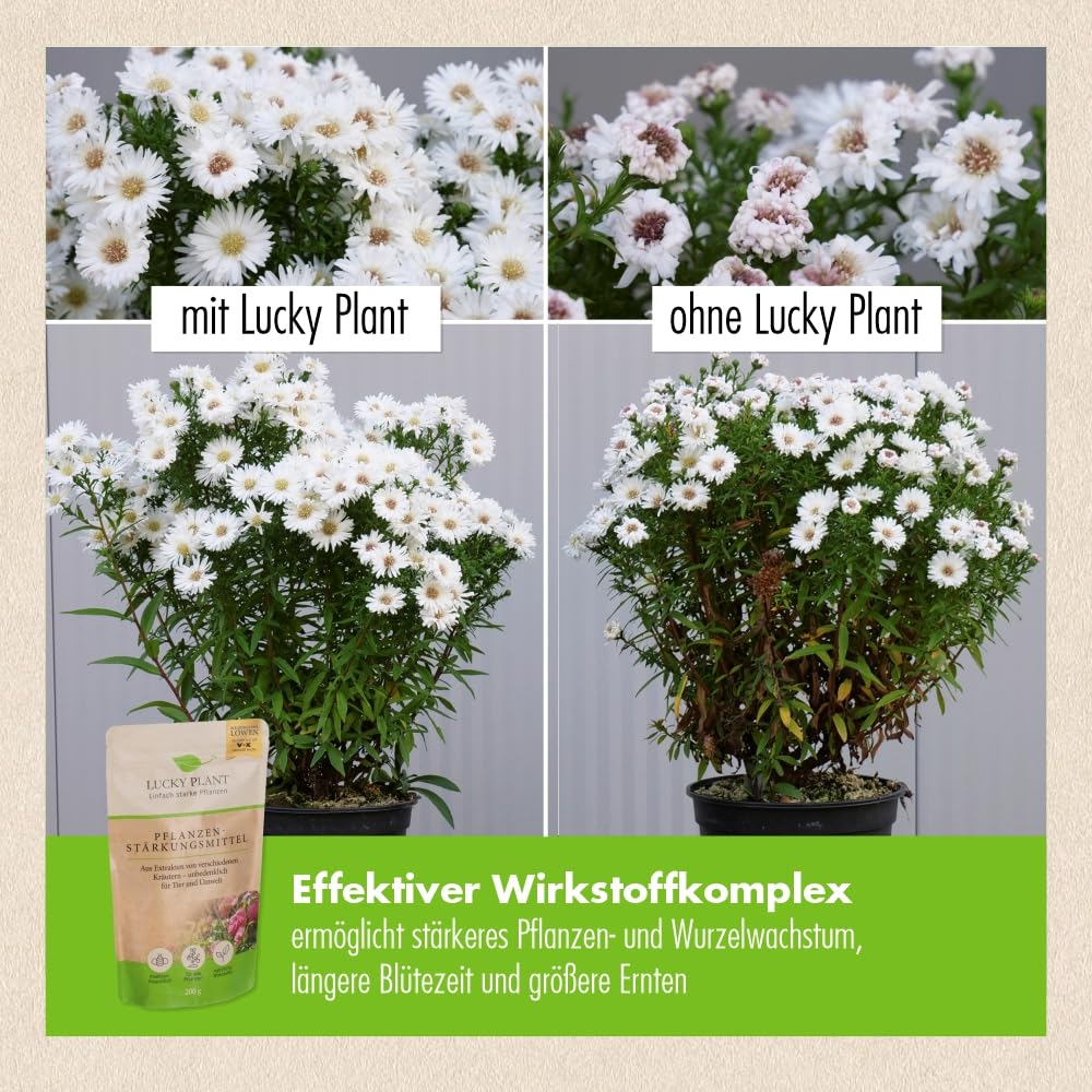 Amazon.de: Lucky Plant: Pflanzenstrkungsmittel