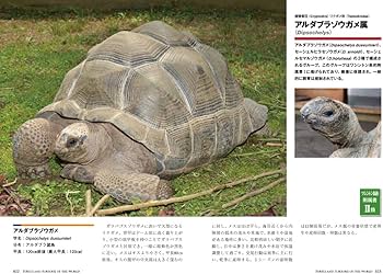 世界のカメ類 | 大谷 勉, 川添 宣広, 川添 宣広 |本 | 通販 | Amazon