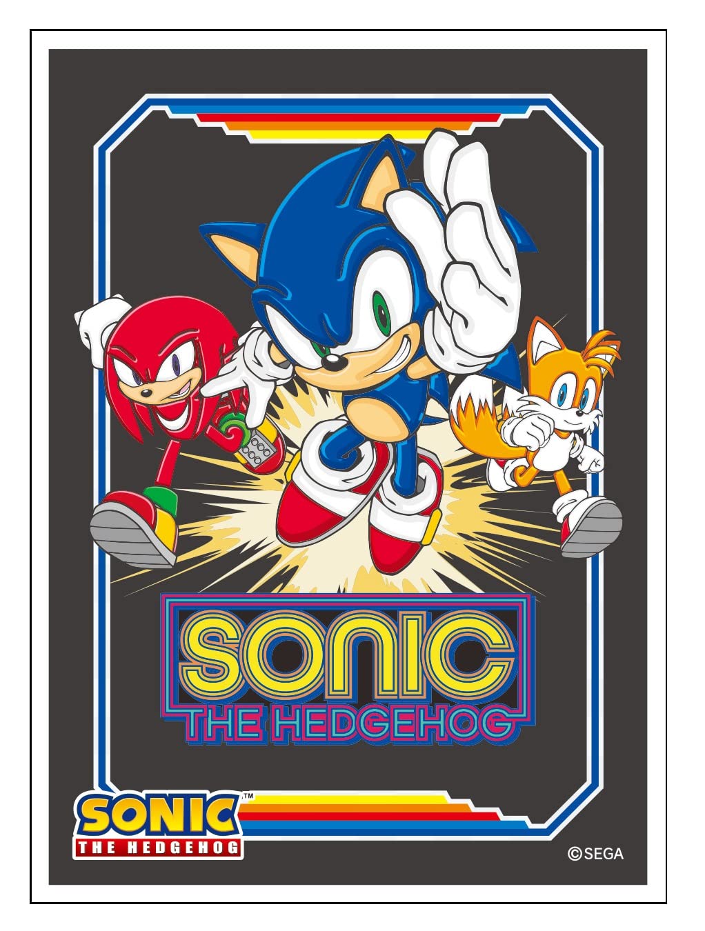 Card Sleeves Sonic The Hedgehog Retro Arcade Sound Of Speed Team EN-1194 :  Amazon.sg: Toys