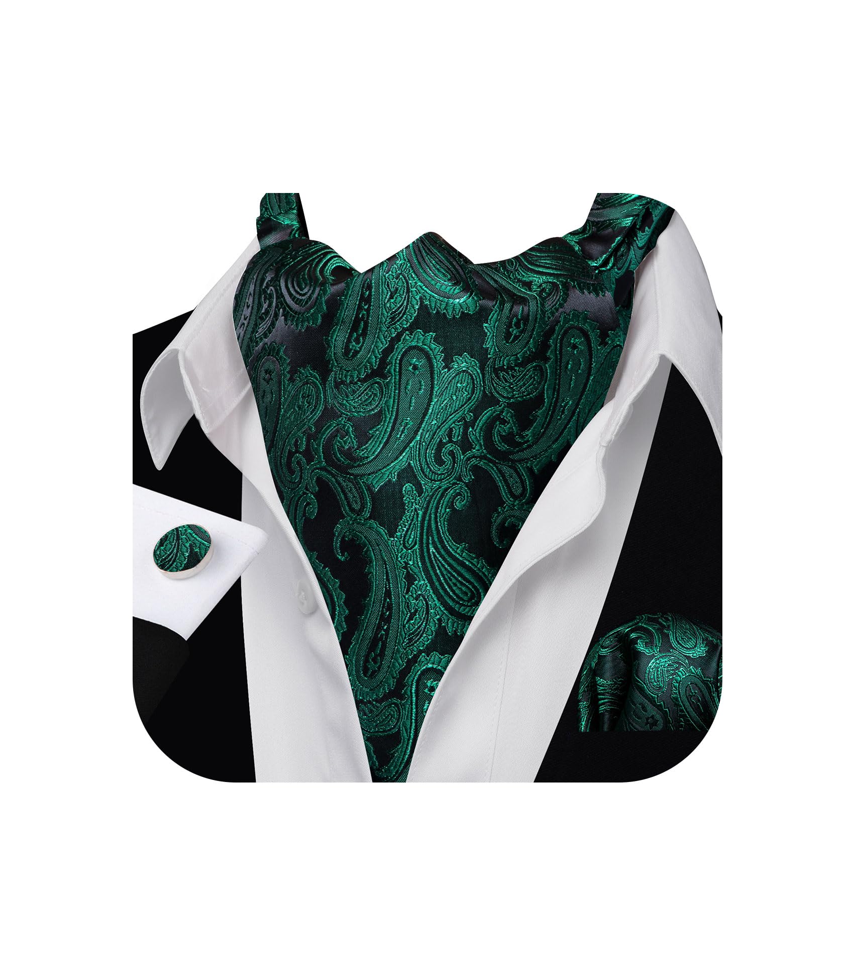 Barry.Wang Ascot for Men Cravat Tie Sets Paisley Scarf Self Tie Necktie