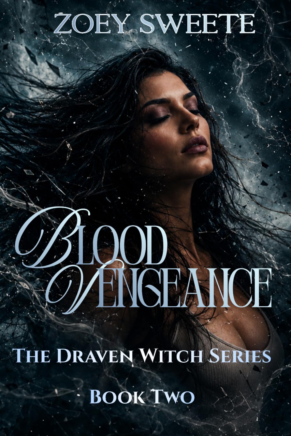 Blood Vengeance The Draven Witch Series Book Two