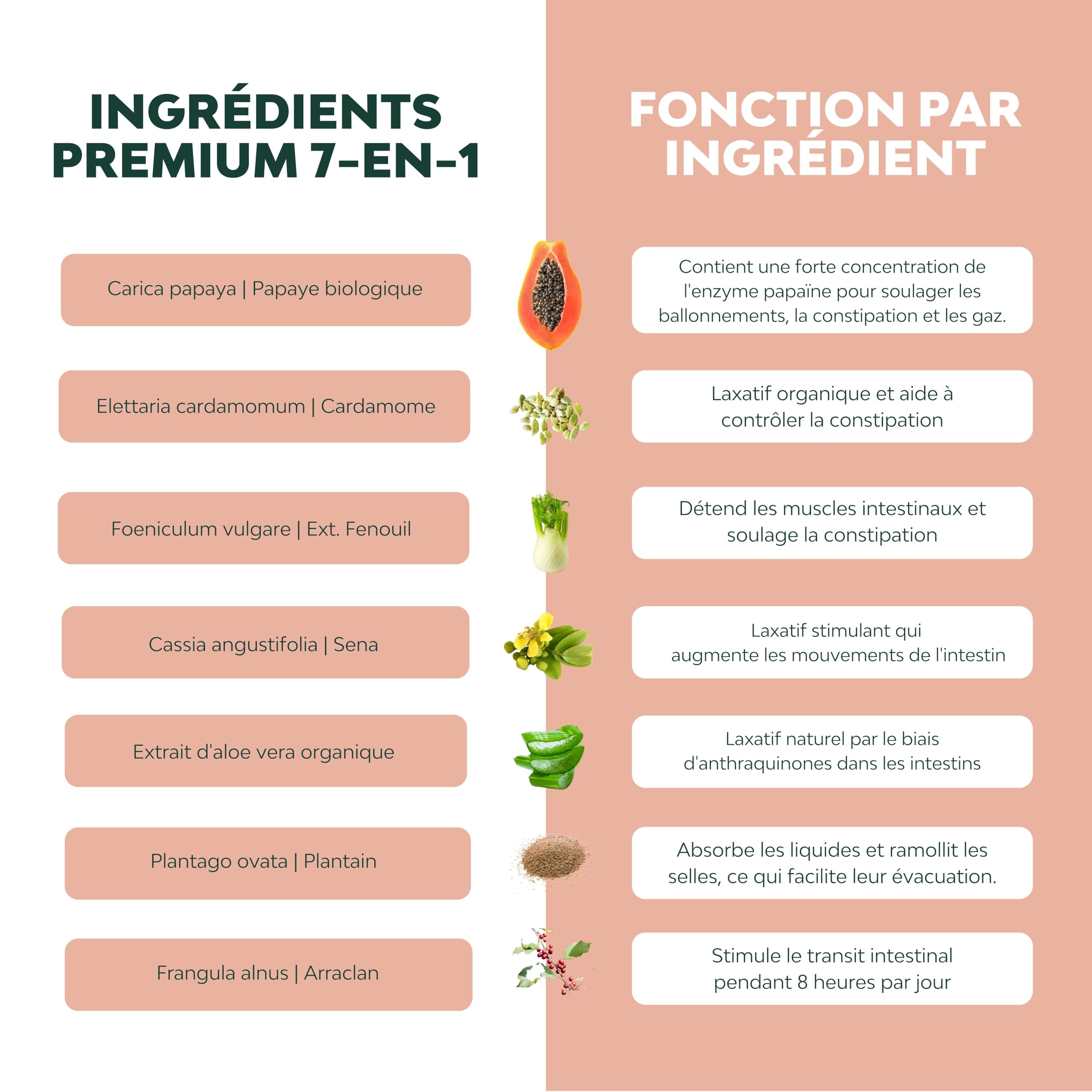 LAX+ Laxatif, 2 flacons, soulage la constipation chez l'adulte, ramollit les selles, efficace et rapide, à base de papaye, nerprun, cardamome, fenouil, feuilles de séné, aloe vera et plantain lancéolé