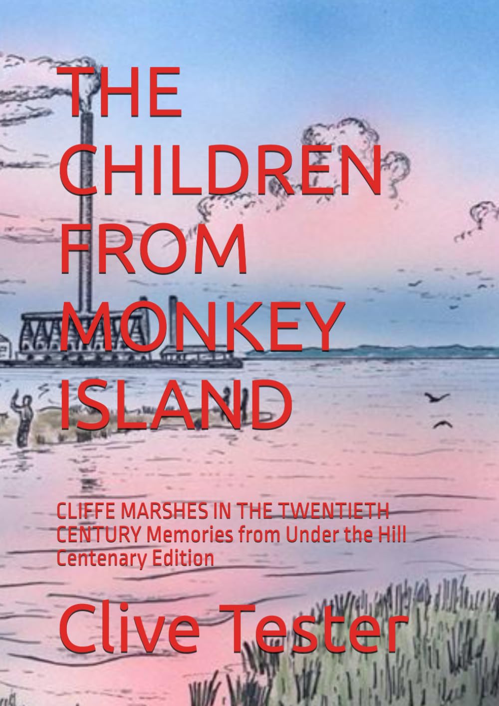 THE CHILDREN FROM MONKEY ISLAND: CLIFFE MARSHES IN THE TWENTIETH CENTURY Memories from Under the Hill Centenary Edition
