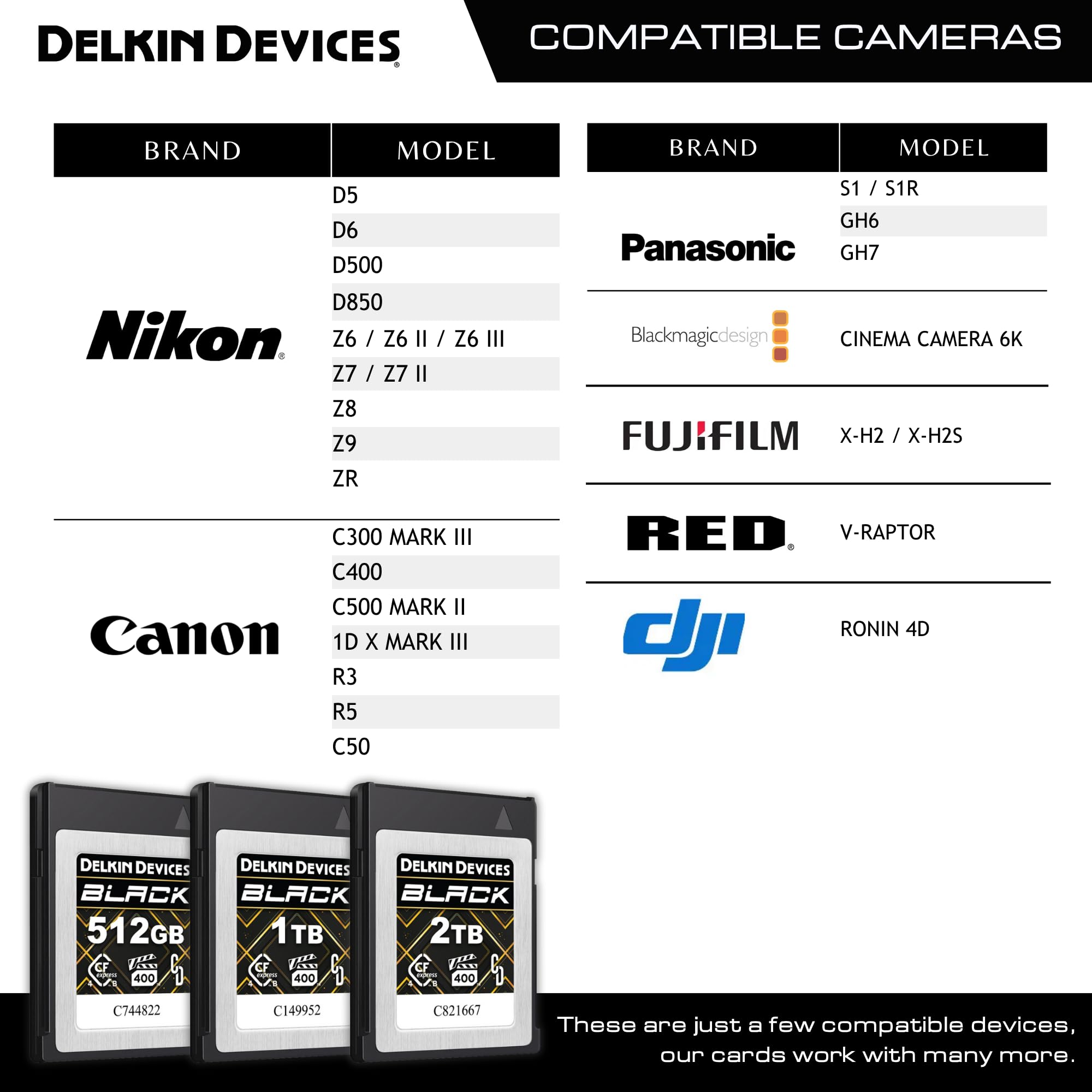 Delkin Devices Cfexpress™ Typ B 4.0 VPG400 Speicherkarte, Schwarz, 512 GB, High-Speed-Leistung für professionelle Fotografie und Videografie (512 GB)