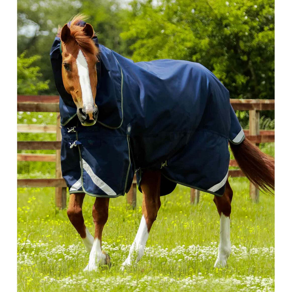 Coperta per cavalli da esterno con copricollo Premier Equine Titan 40 g