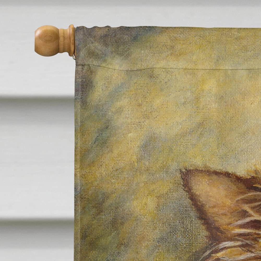 Caroline's Treasures MH1036CHF Chihuahua Long Hair Brown House Flag Large Porch Sleeve Pole Decorative Outside Yard Banner Artwork Wall Hanging, Polyester, House Size, Multicolor