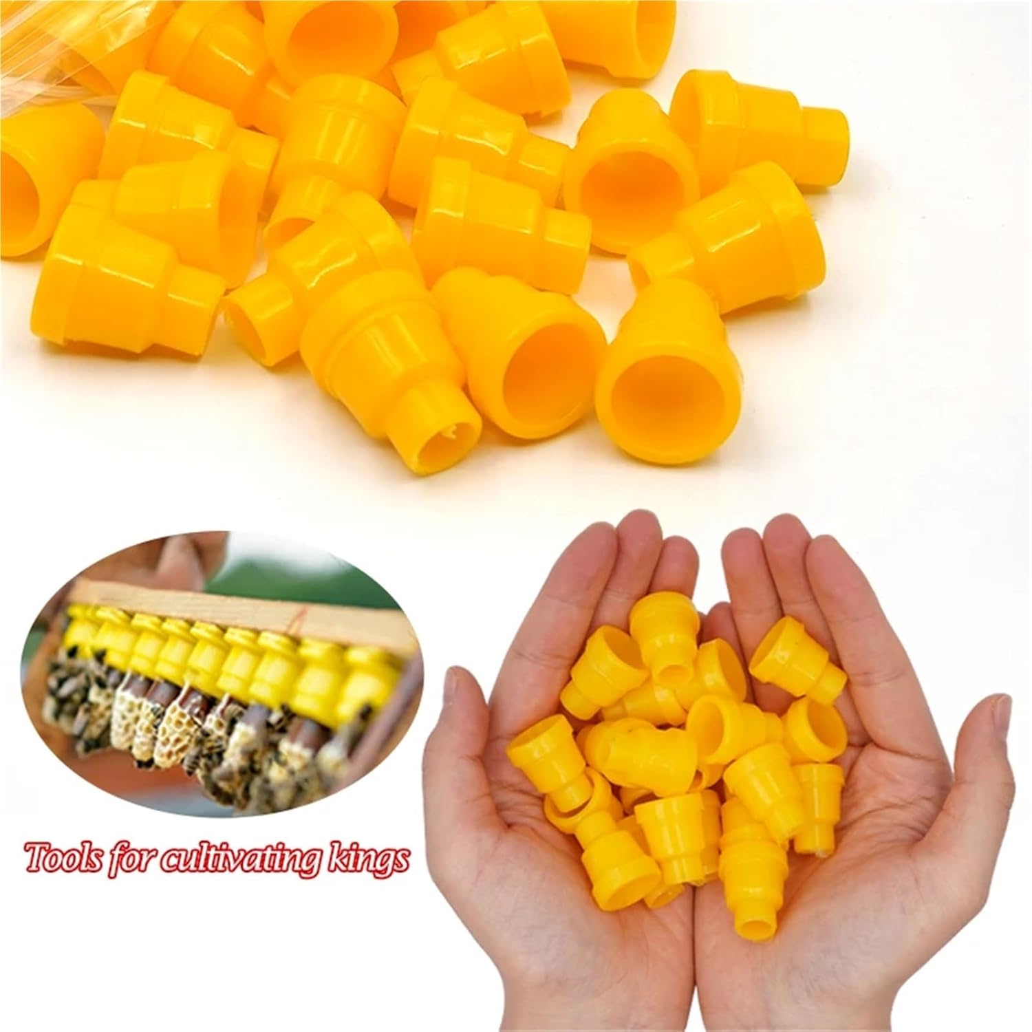 Bee Rearing Kit Bee Queen Rearing Kit Complete Jenter Apiculture Tools for Beekeeping Box Cage Holder Plastic Cell Cups Breeding System 1 Set for Beginners and Bee Keeper