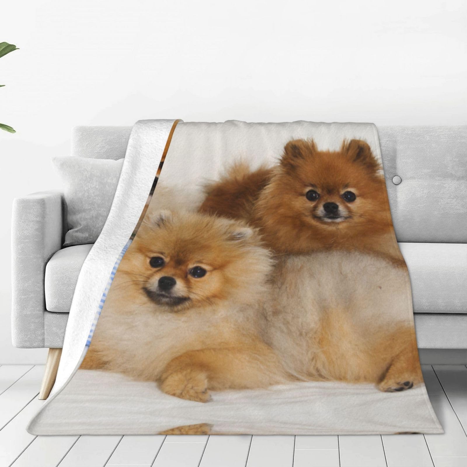 Couverture de Poméranie légère pour bureau climatisé