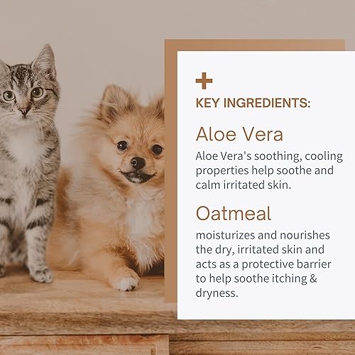 Miniatura 4 de Champú de avena y aloe para perros y gatos, fórmula hidratante para piel seca con picazón, erupciones y alergias, hipoalergénico para pieles