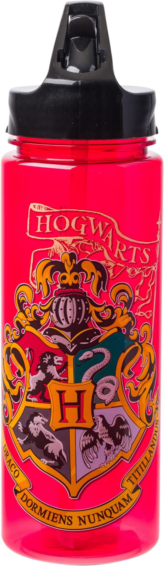 Harry Potter Stainless Steel Water Bottle Thermos, 550ml