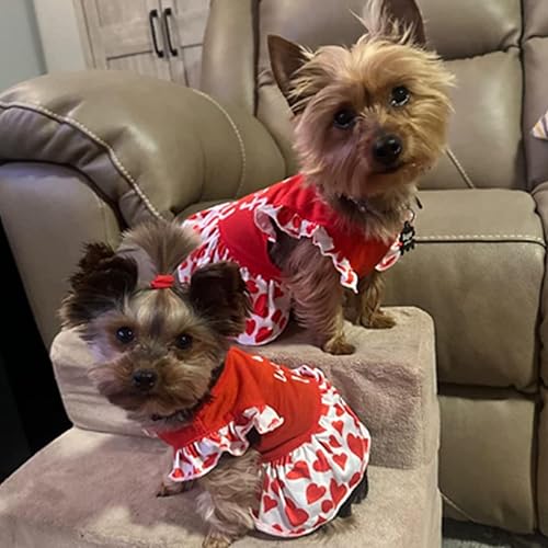 Miniatura 7 de XPUDAC 4 piezas de vestido para perro de niña, ropa para perros pequeños, vestidos de flores para perros pequeños, ropa colorida para perros