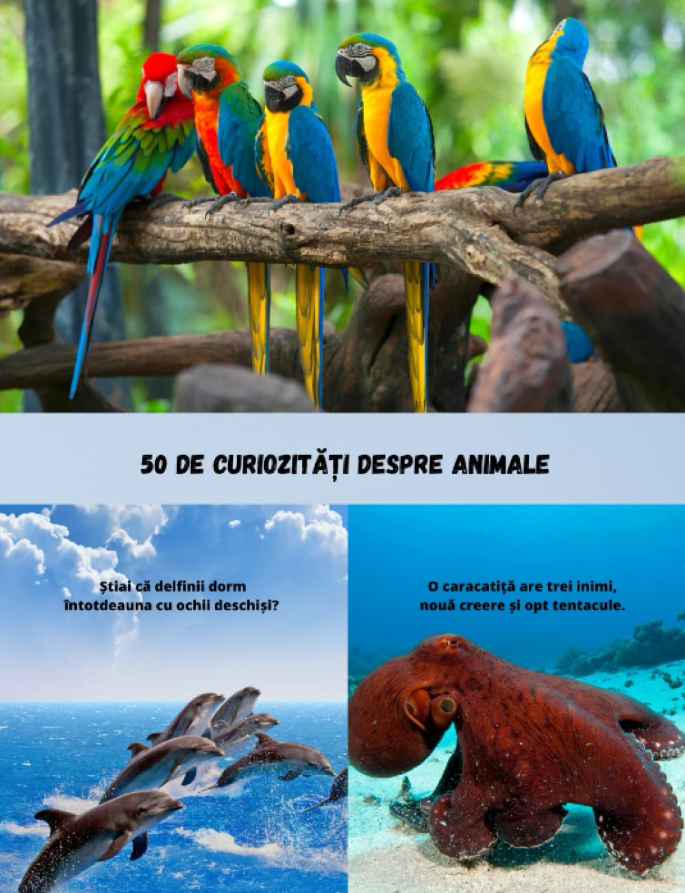 50 De Curiozități Despre Animale: Cărți pentru copii în limba română/Carte Pentru Copii/Curiozitati pentru copii/Cărți în limba română / Carti pentru copii in romana