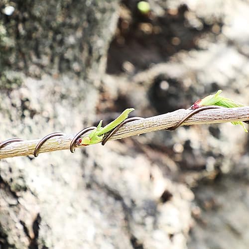 Miniatura 4 de Wazakura Alambre de entrenamiento para bonsái de aluminio anodizado marrón de 10.58 oz fabricado en Japón (0.157 in, marrón)